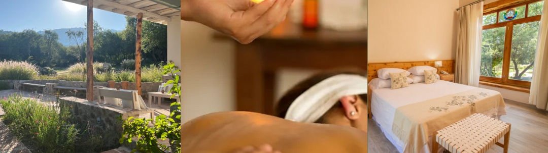 NEWSLETTER LAS DALIAS (300 × 300 px) (11)_edited.jpg